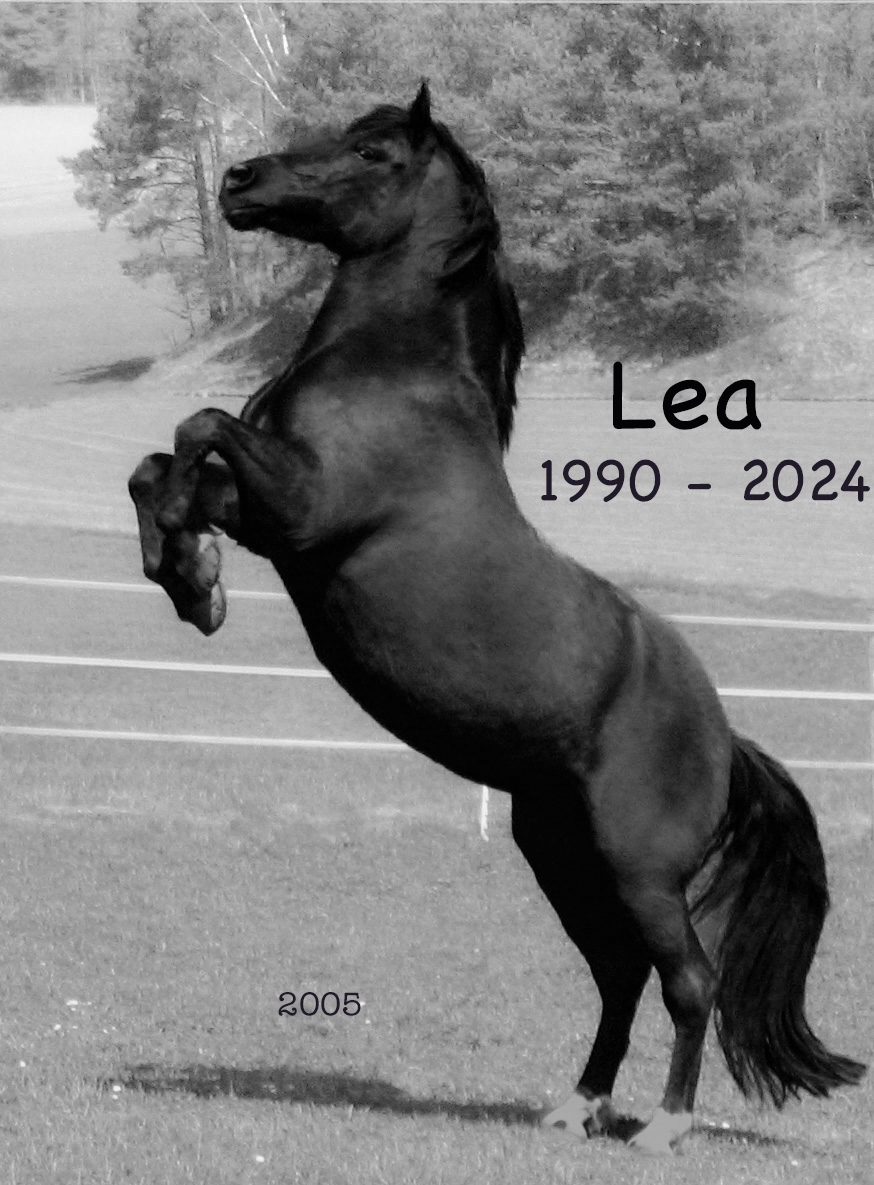 Lea