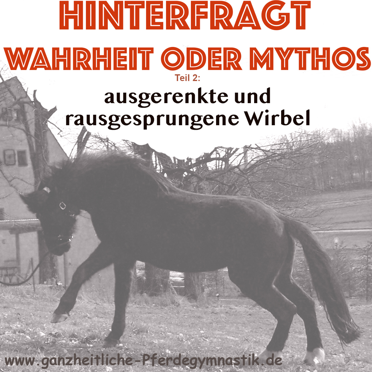 Wahrheit_oder_Mythos_rausgesprungene_ausgerenkte_wirbel.jpg