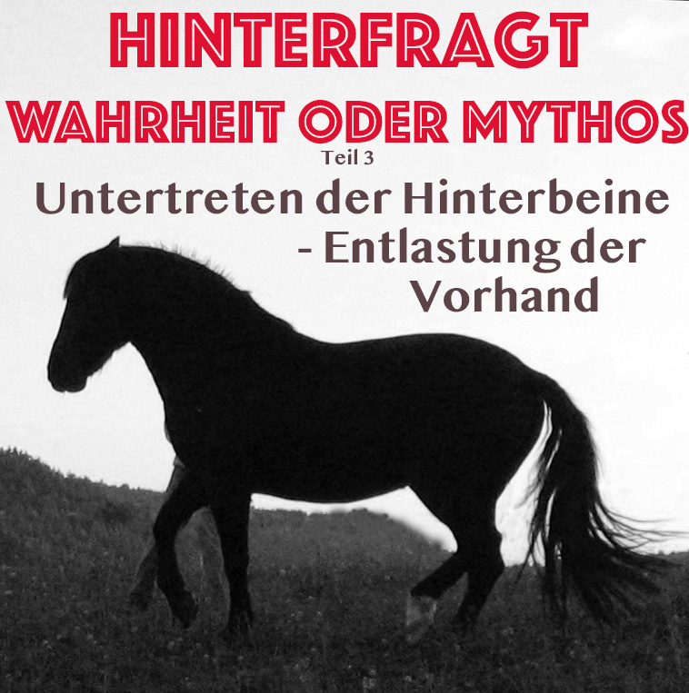 lea_piaffe_Kopie.jpg